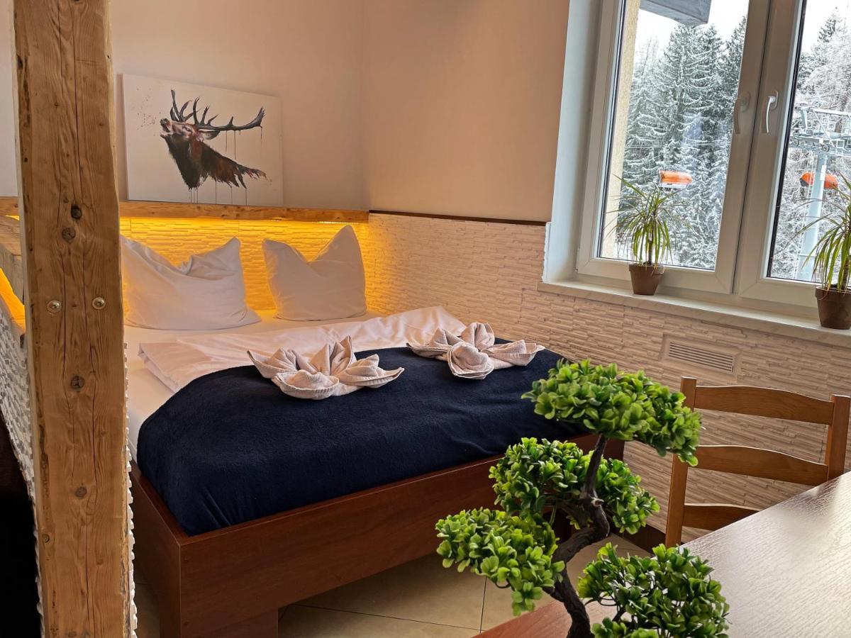카르파츠 Safir Przy Samym Wyciagu B&B 외부 사진