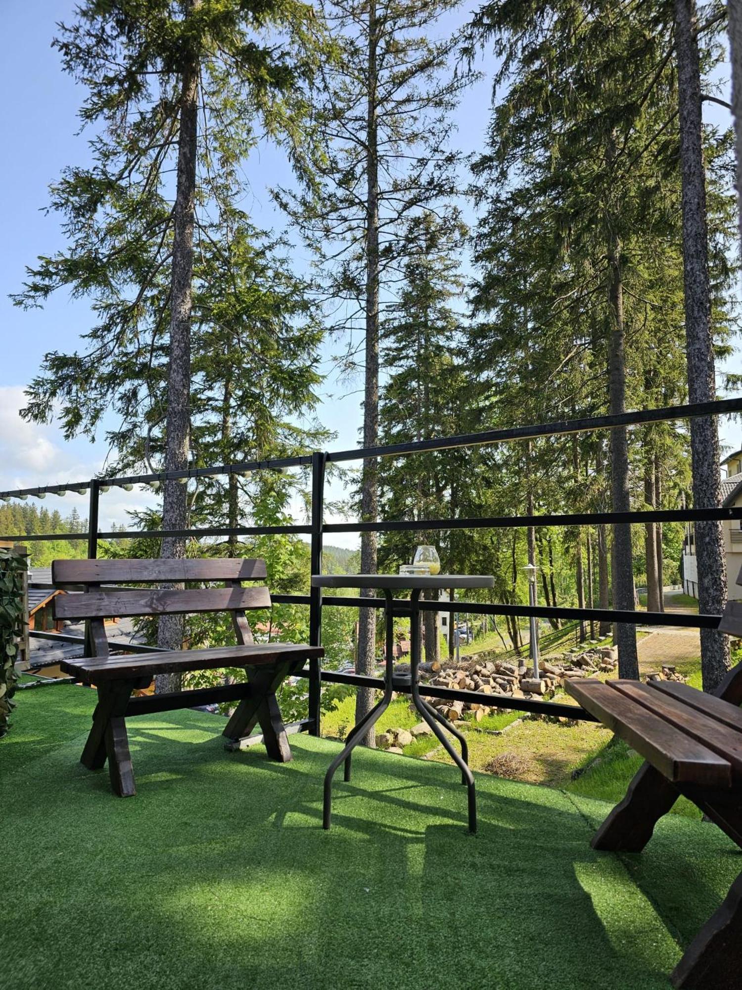 카르파츠 Safir Przy Samym Wyciagu B&B 외부 사진