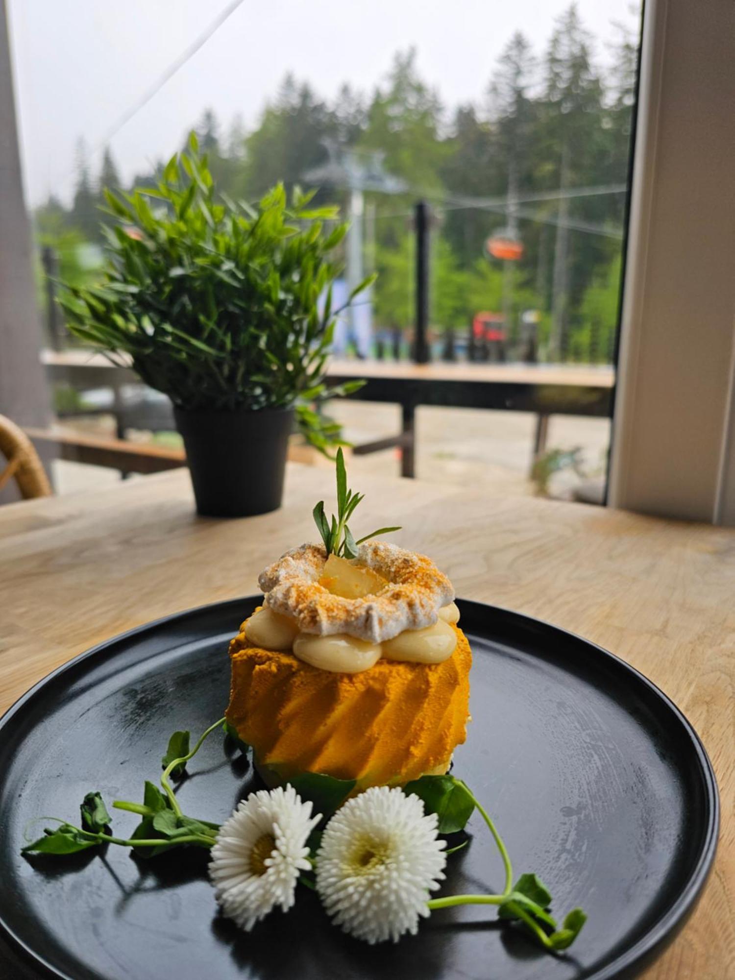 카르파츠 Safir Przy Samym Wyciagu B&B 외부 사진