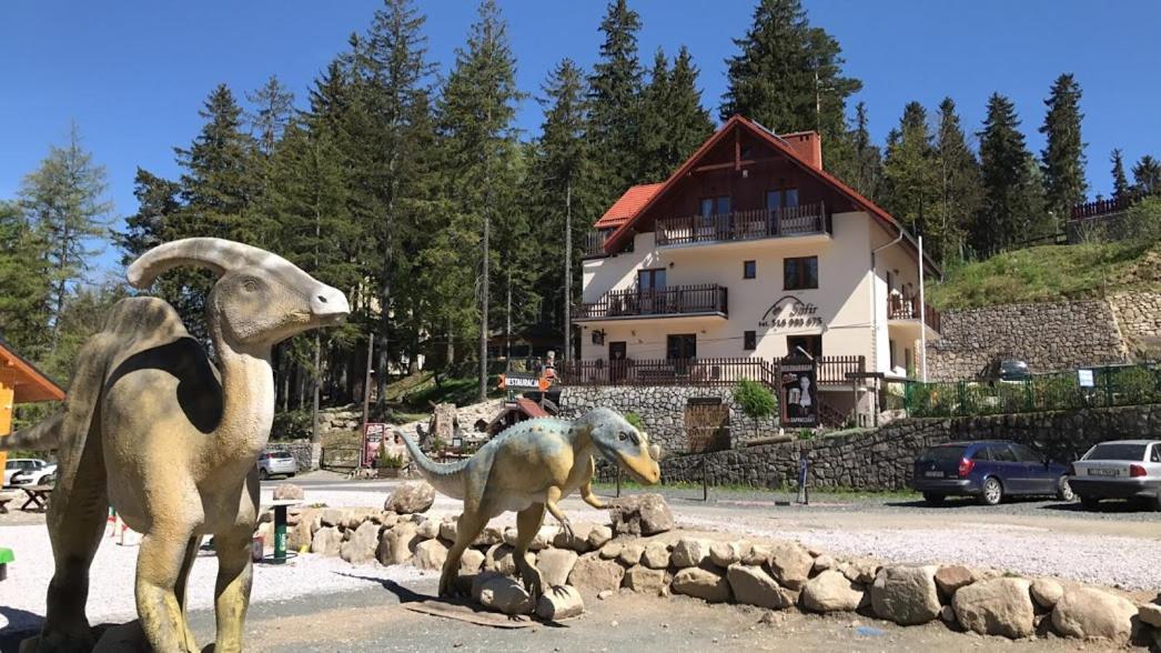 카르파츠 Safir Przy Samym Wyciagu B&B 외부 사진
