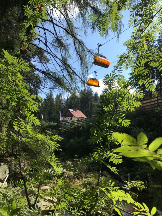 카르파츠 Safir Przy Samym Wyciagu B&B 외부 사진