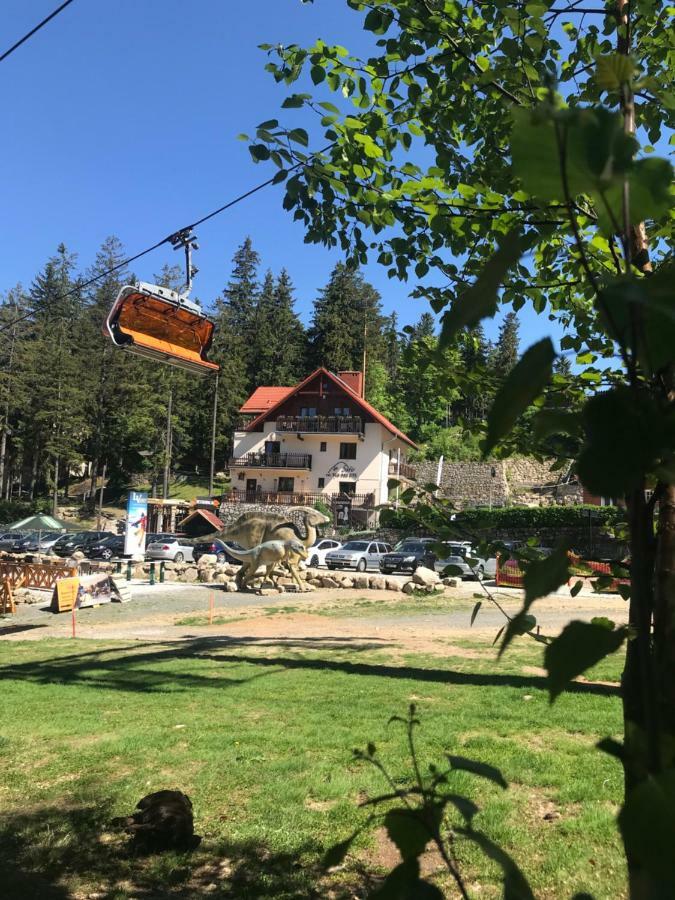 카르파츠 Safir Przy Samym Wyciagu B&B 외부 사진