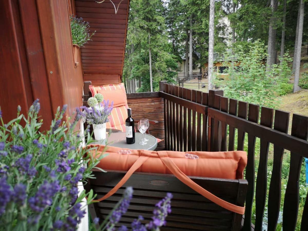 카르파츠 Safir Przy Samym Wyciagu B&B 외부 사진