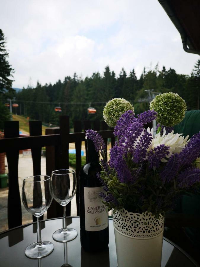 카르파츠 Safir Przy Samym Wyciagu B&B 외부 사진